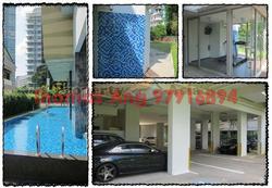 Mulberry Tree (D11), Apartment #89391812